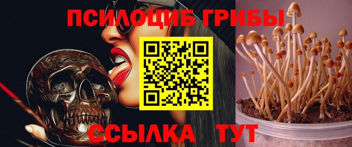 Галлюциногенные грибы ЛСД Усинск